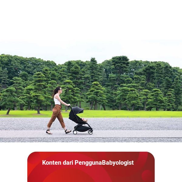 Review Stuffskin Stroller by Mom Fransiska Fortunata kumparan